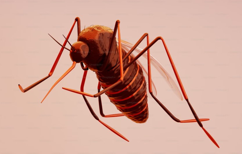 Best Hospital In Kolkata For Dengue Treatment.jpg