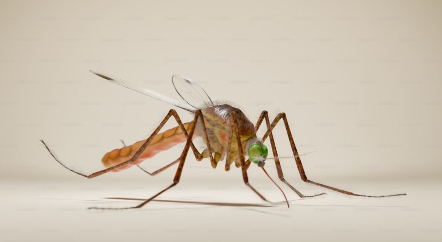 Best Hospital In Mumbai For Dengue Treatment.jpg